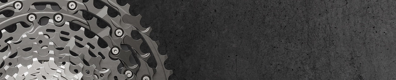 Mountainbike | Kassetten | 12-Fach