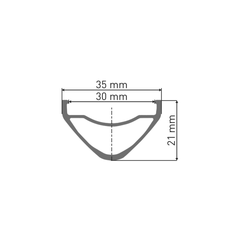 Felge DT SWISS FR 541 29'' 30 mm