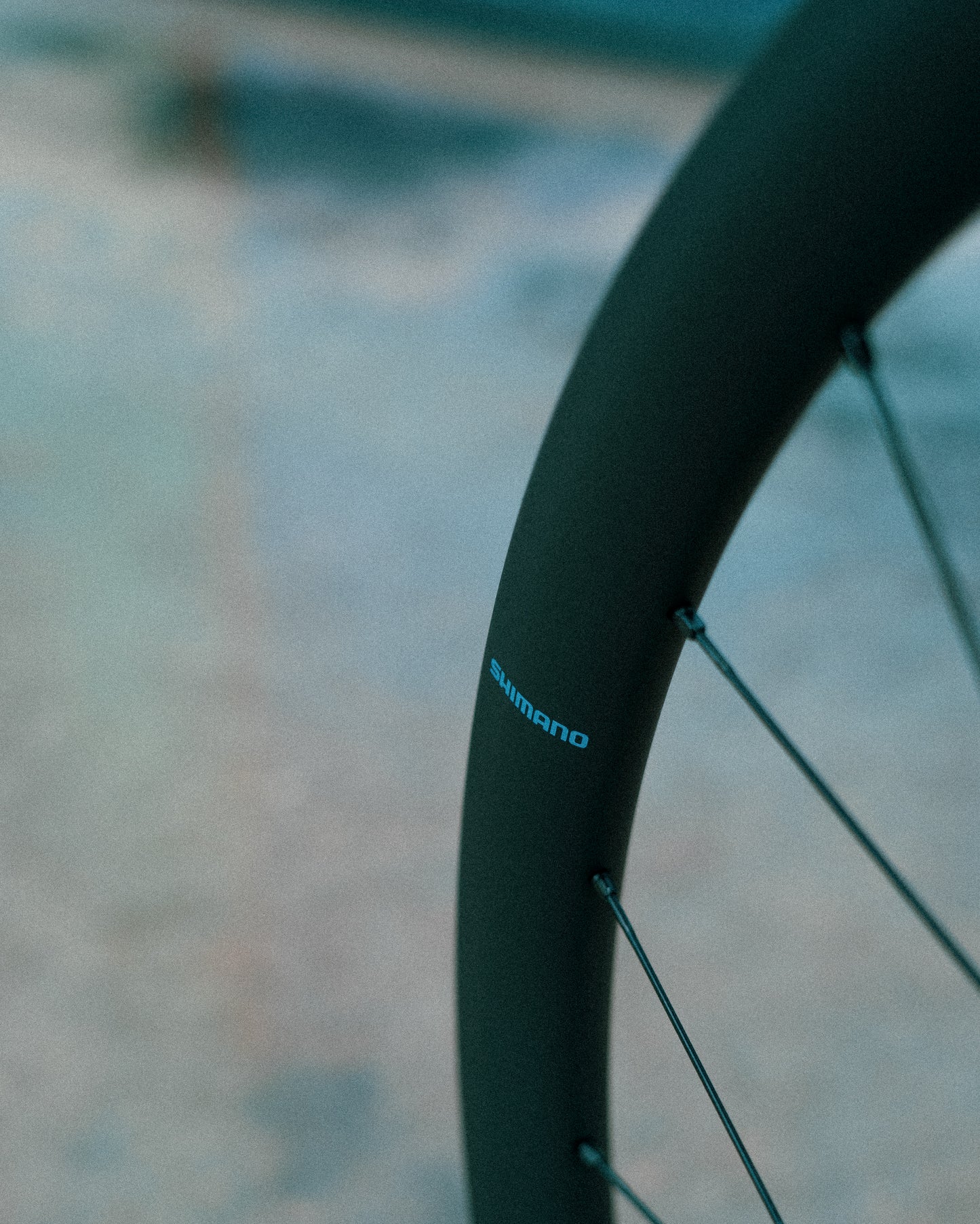 Roue Arrière SHIMANO GRX WH-RX880 700c Tubeless Ready (Center Lock)