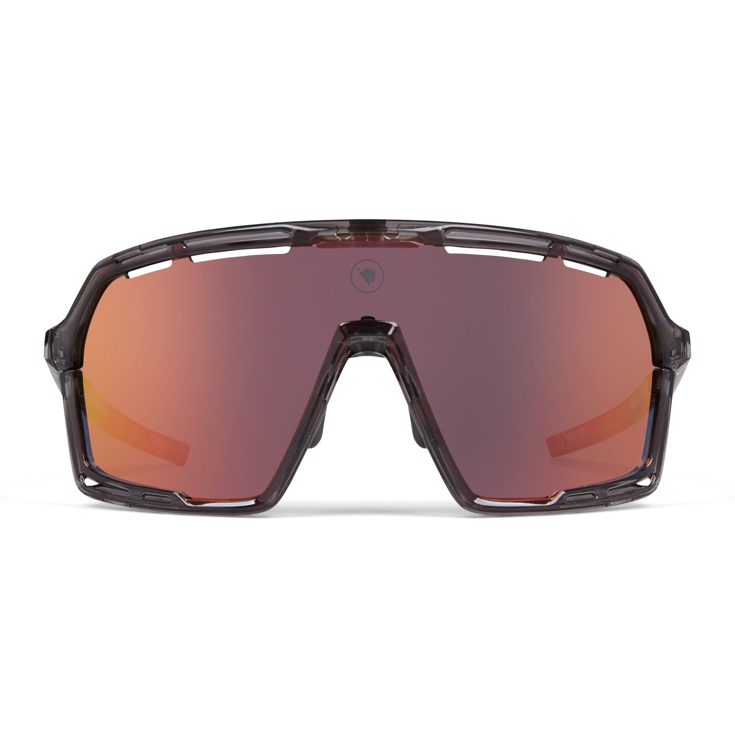 Lunettes ENDURA PRO SL Gris 2025