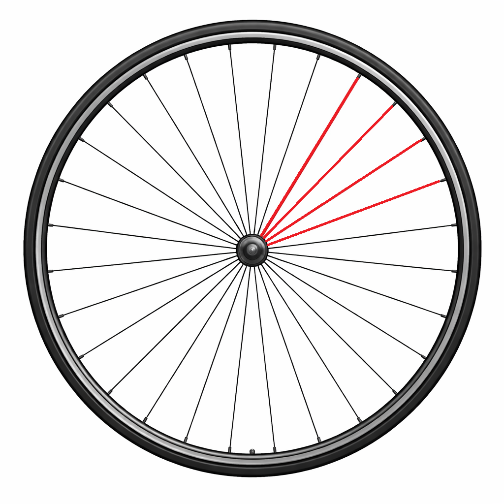 Kit de 4 Rayons CAMPAGNOLO ZONDA Arrière Gauche