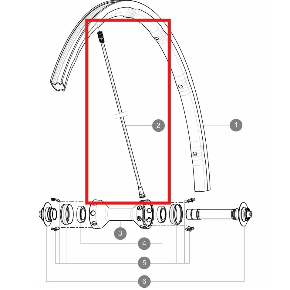 KIT 10 FRONT/REAR RSYS SPOKES 282,7MM FROM 2020