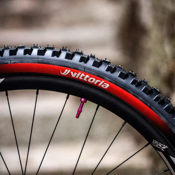 VITTORIA MAZZA ENDURO RACE Reifen 29x2.60 Graphene/Silica Tubeless Ready Weich Schwarz