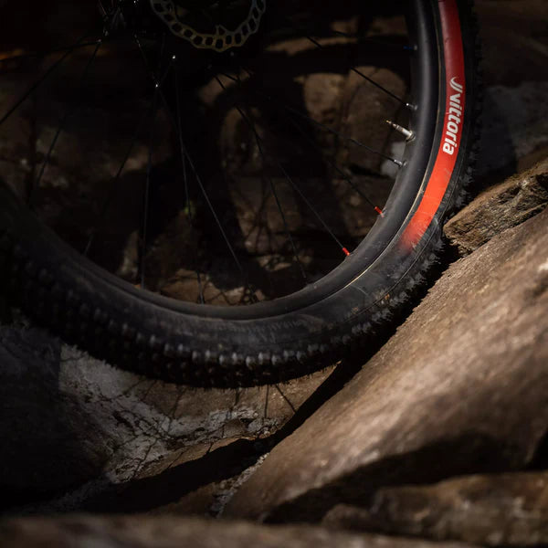 Pneu VITTORIA MOTA ENDURO RACE 29x2.60 Graphene/Silica Tubeless Ready Souple Noir
