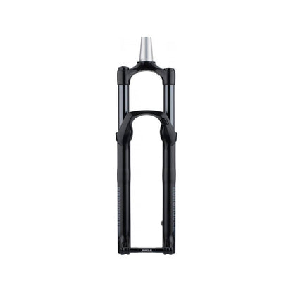 Gabel ROCKSHOX RECON SILVER RL 29" SOLOAIR Konisch Achse 15x110mm Boost Schwarz