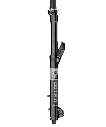 Federgabel ROCKSHOX DOMAIN GOLD ISOLATOR RC3 29" Konisch Achse 15x110mm Boost Schwarz