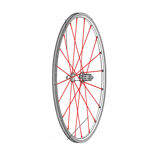 Kit 12 Rayons Ar MAVIC CROSSRONE/CROSSRIDE FTS-X 262mm