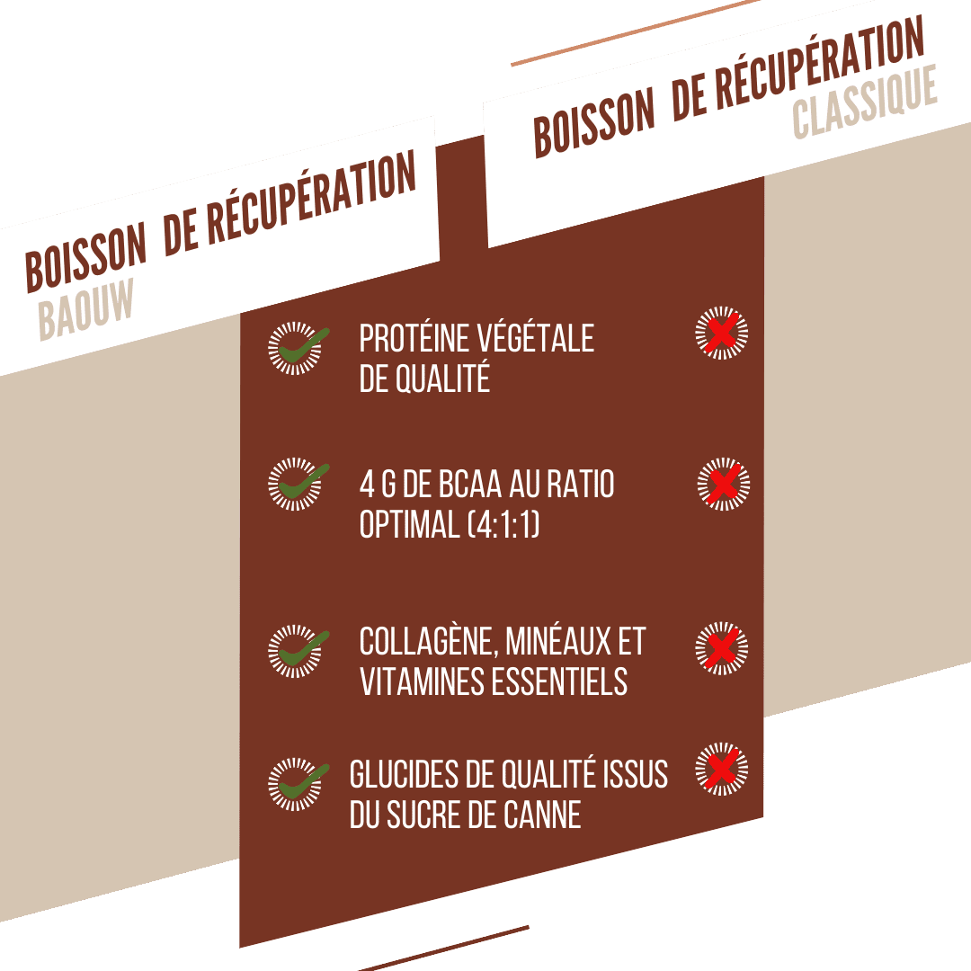 Boisson de Récupération BAOUW RECOVERY (500g) Chocolat Noisette
