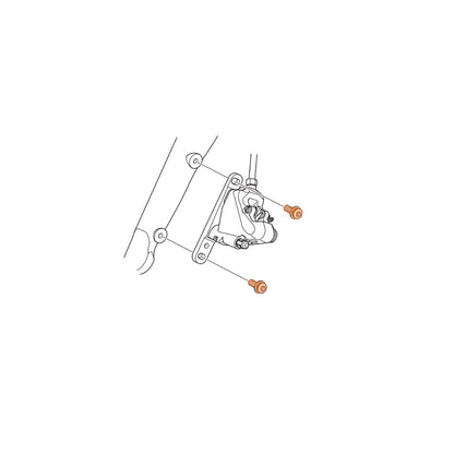 Befestigungsschraube Vorderer Bremssattel SHIMANO DURA-ACE FLATMOUNT R9170
