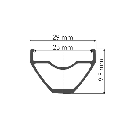 Vorderrad DT SWISS X 1900 SPLINE 25 mm 29'' 15x110 mm