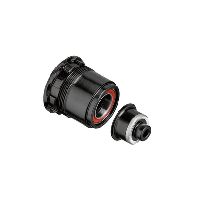 Freilaufkörper DT SWISS RATCHET MTB Typ Sram XD #HWYAAL00S3115S