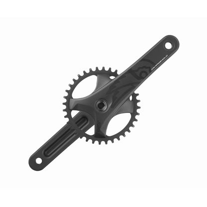 Pédalier 13V CAMPAGNOLO EKAR GT