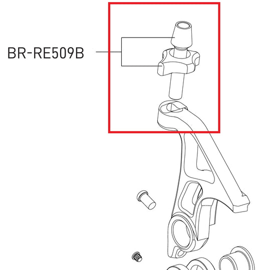 Vis de Réglage pour Étrier de Frein Direct Mount CAMPAGNOLO SUPER RECORD / RECORD 12V