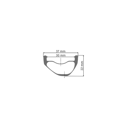 Vorderrad DT SWISS HXC 1500 SPLINE 30 mm 29" 15x110 mm