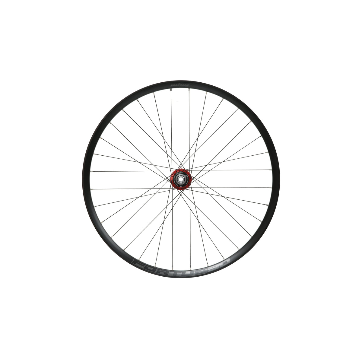 HOPE Fortus 30 W Hinterrad, 29 Zoll, Pro 5 Nabe in Rot