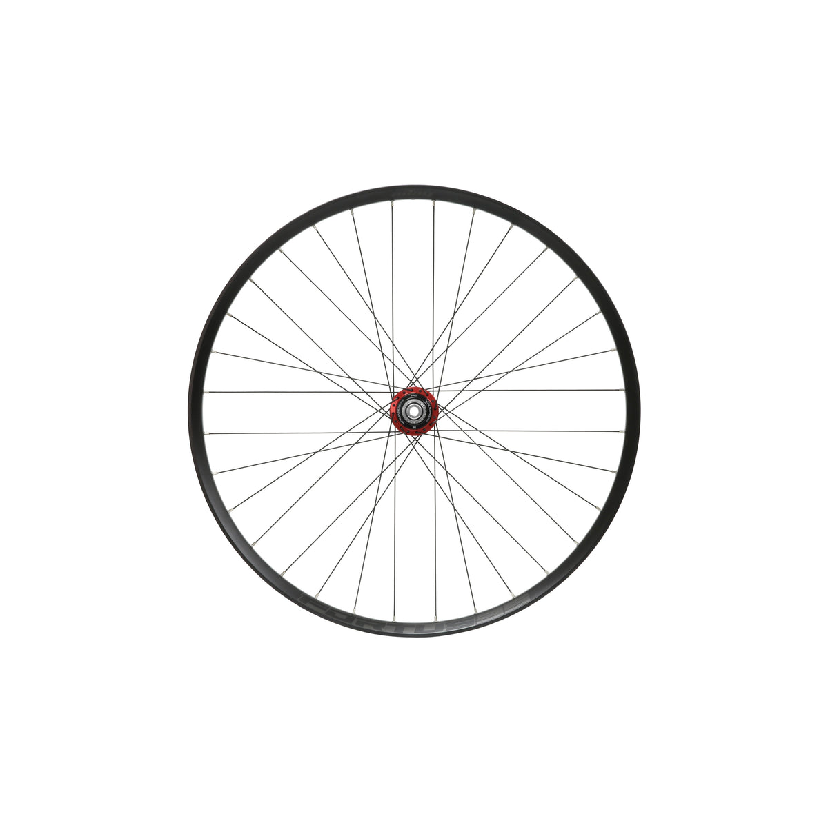 HOPE Fortus 35 W Hinterrad, 29 Zoll, Pro 5 Nabe in Rot
