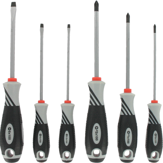 Jeu de 6 Tournevis VAR Professionnel DV-71000