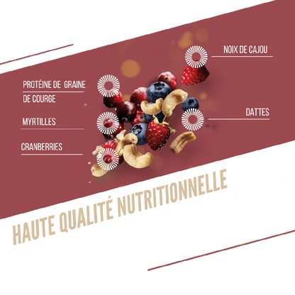 Proteinriegel BAOUW BIO EXTRA Rote Früchte/Cashew (50g)