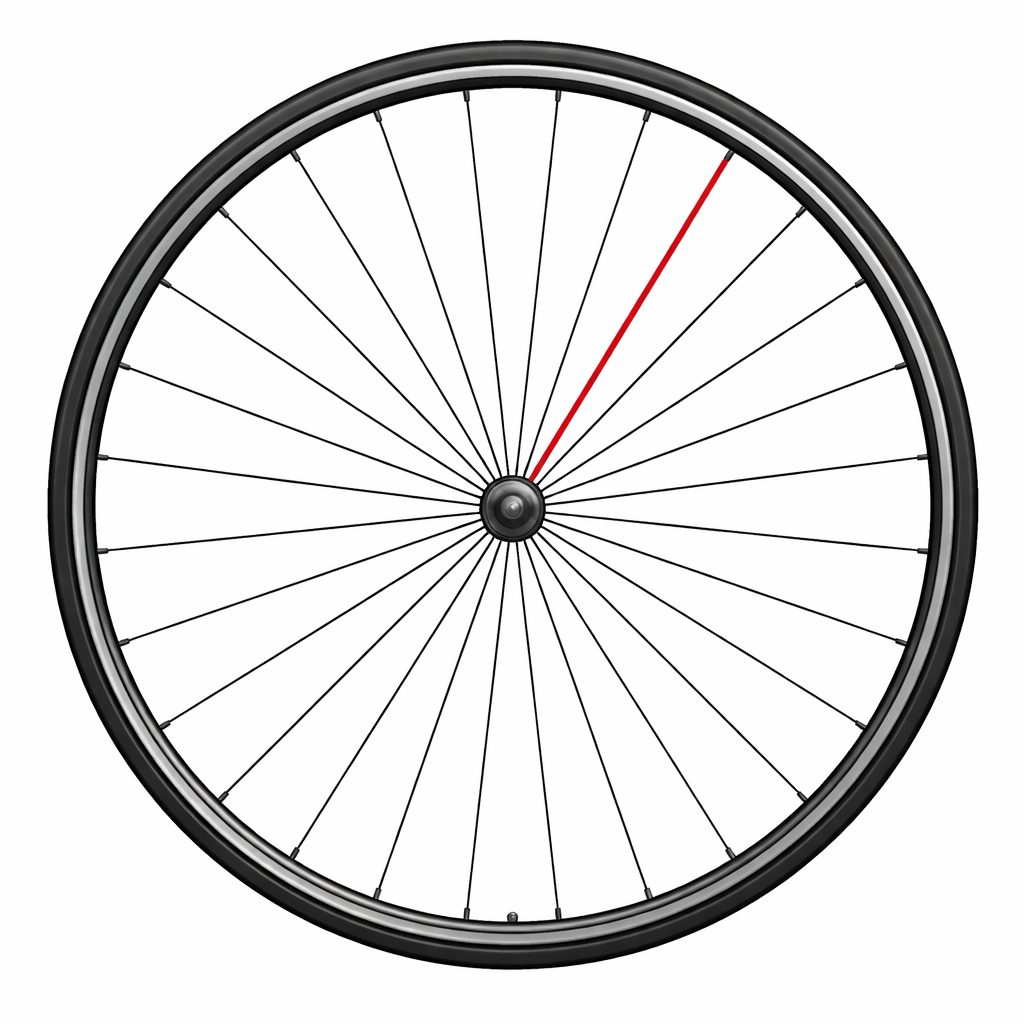 Rayon CAMPAGNOLO SHAMAL ULTRA DISC Avant Gauche (x1)