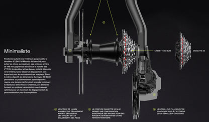 7-Gang-Kassette SRAM XS-797 T-Type DH für kurzen XD-Kassettenkörper