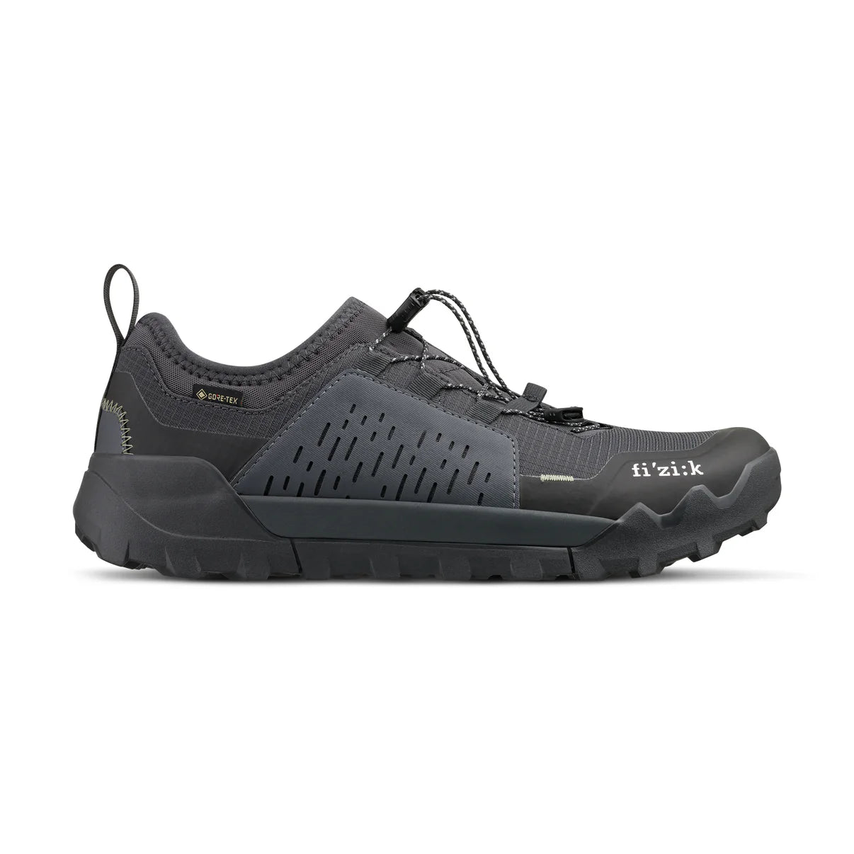 Mountainbike-Schuh FIZIK ERGOLACE 2 GTX FLAT Schwarz