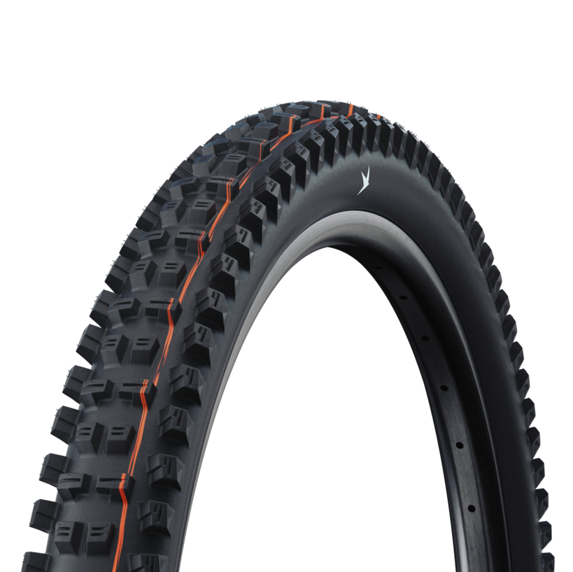 Pneu SCHWALBE TACKY CHAN GRAVITY PRO SOFT RADIAL 29x2.50 Tubeless Ready Souple Noir