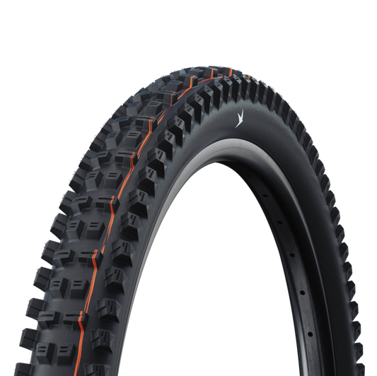 Pneu SCHWALBE TACKY CHAN TRAIL PRO SOFT RADIAL 29x2.50 Tubeless Ready Souple Noir