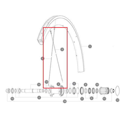 Kit 12 Raypns Ar MAVIC COSMIC PRO CARBON 277mm