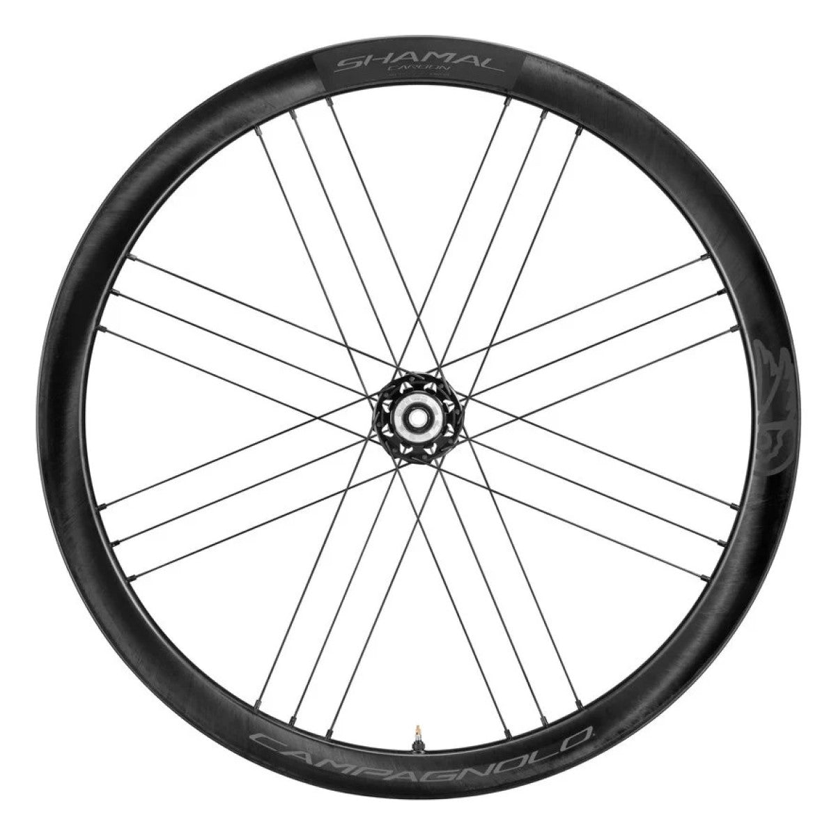 Hinterrad CAMPAGNOLO SHAMAL DISC Tubeless Ready (Center Lock)