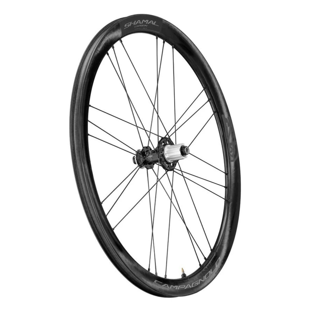 Hinterrad CAMPAGNOLO SHAMAL DISC Tubeless Ready (Center Lock)