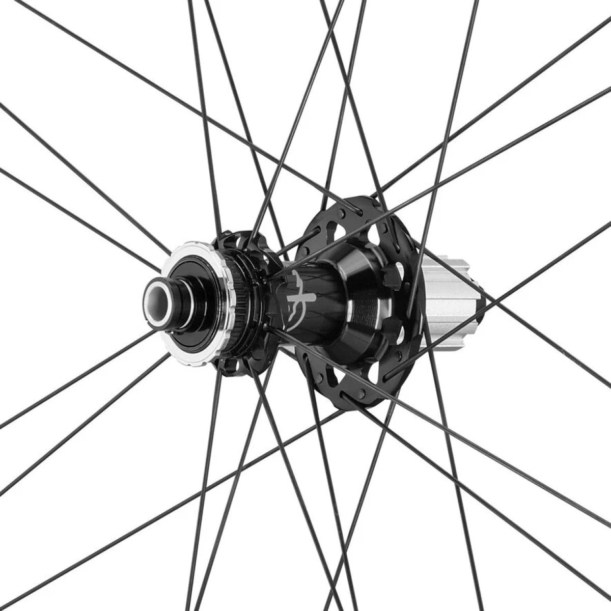 Hinterrad CAMPAGNOLO SHAMAL DISC Tubeless Ready (Center Lock)