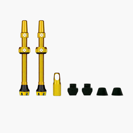 Valves Tubeless V2 MUC-OFF Or