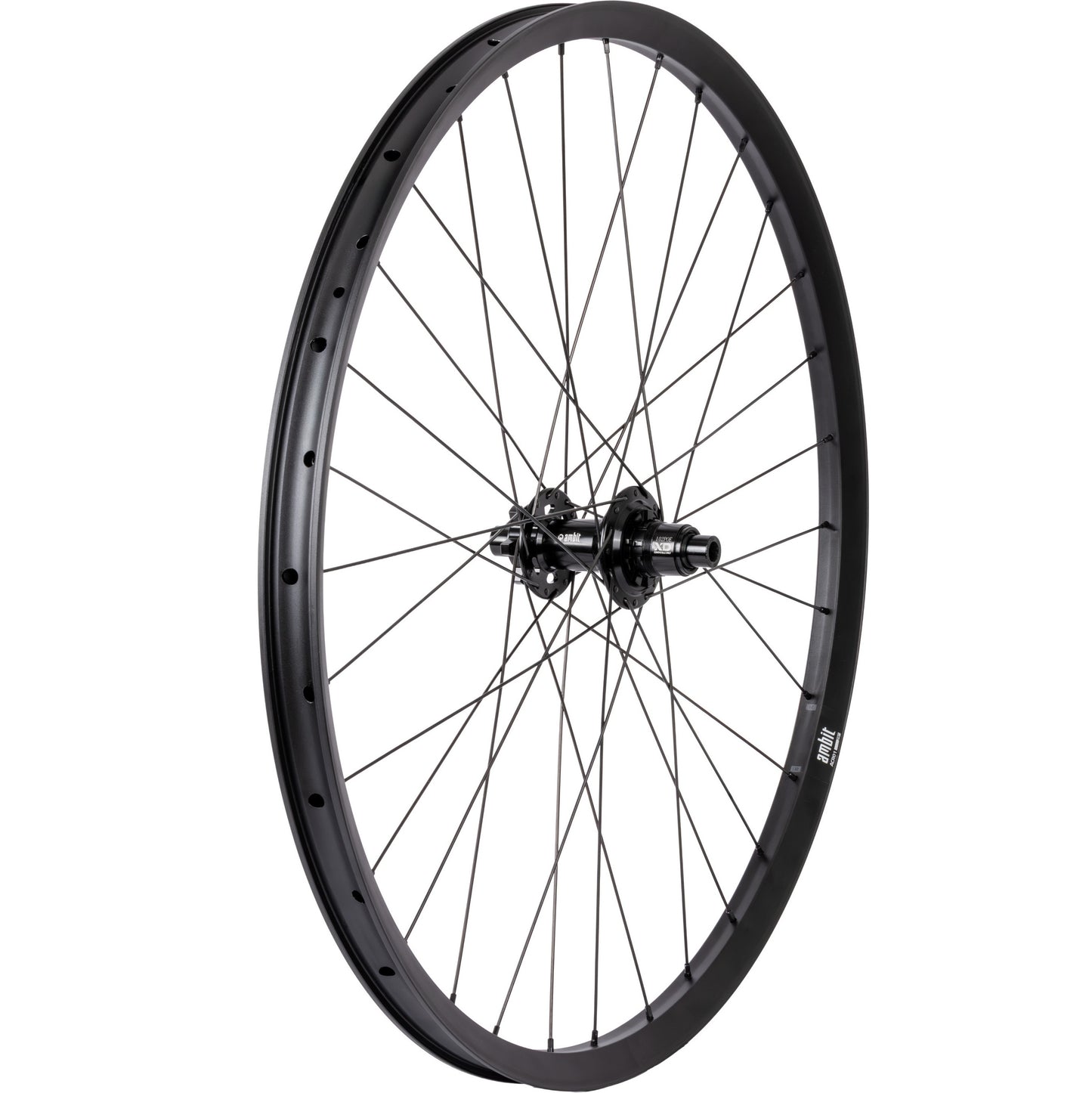 Hinterrad AMBIT REALM 29" 12x148mm Boost POE 102