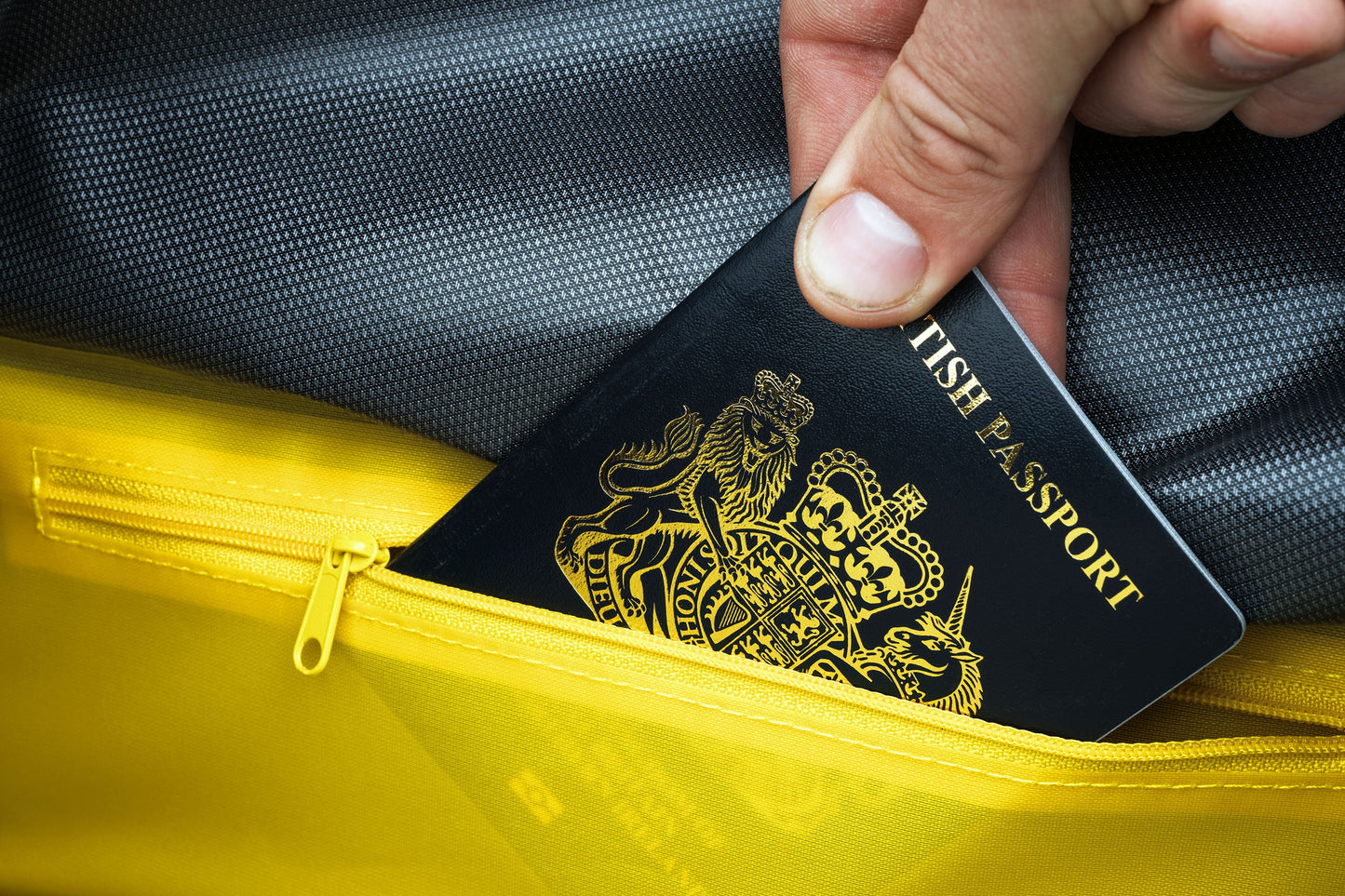 APIDURA EXPEDITION FRONT RACK PACK 20 L Lenkertasche Schwarz