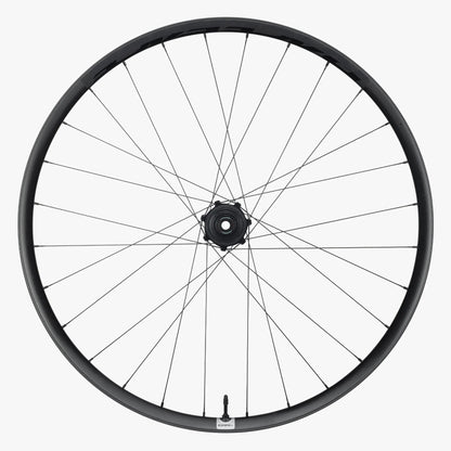 Roue Arrière RACE FACE ERA SL Carbone 29" 12x157 mm Super Boost