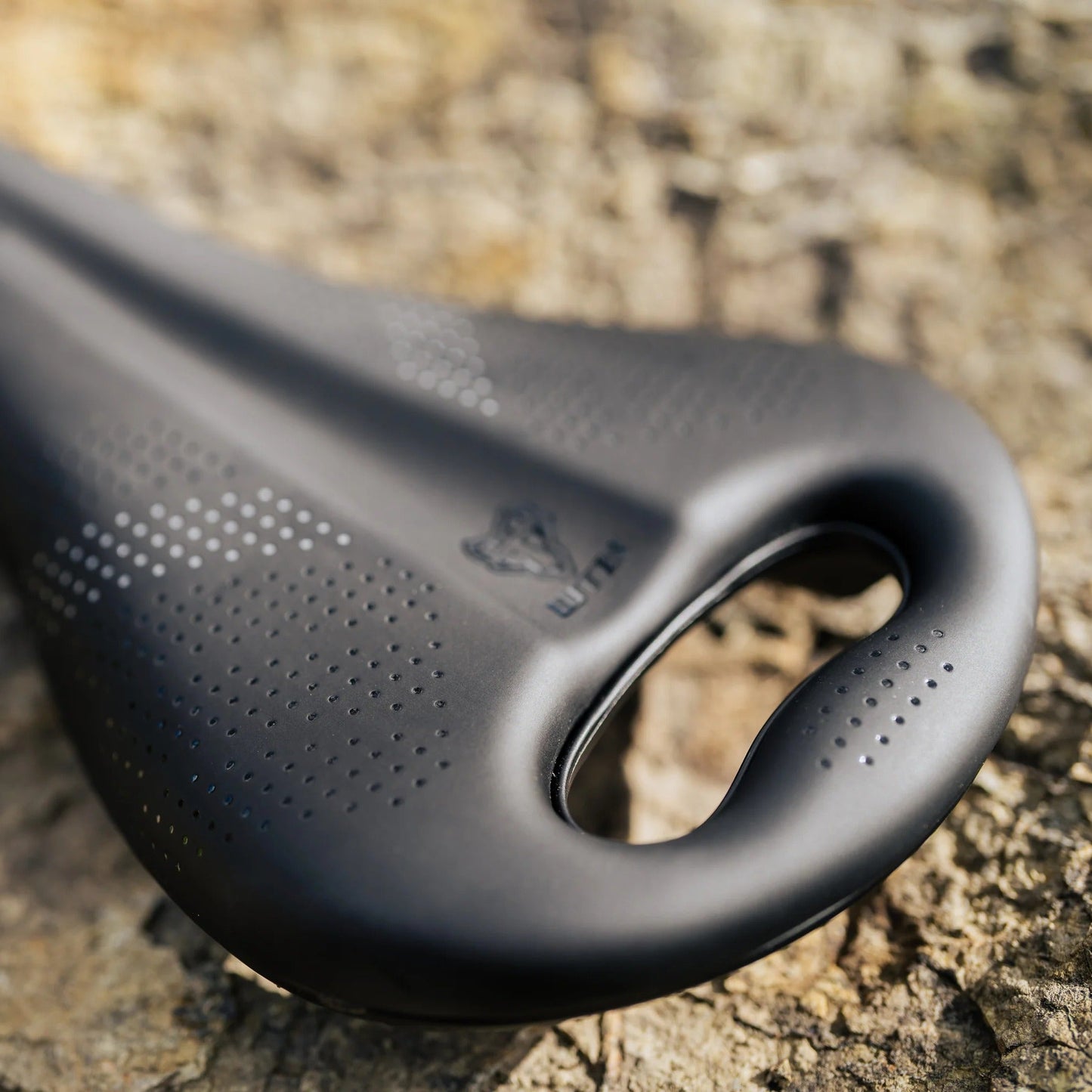 Selle WTB DEVO W/PICKUP Medium Rails Titane