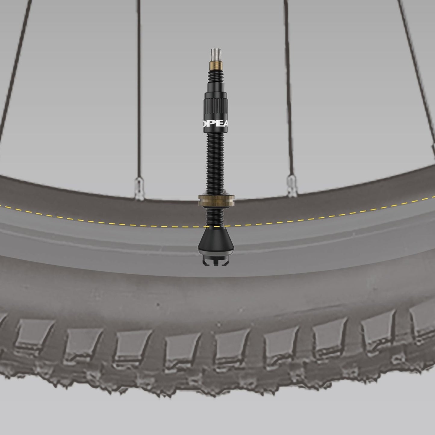 Satz von 2 Tubeless-Ventilen TOPEAK TURBOFLOW Schwarz