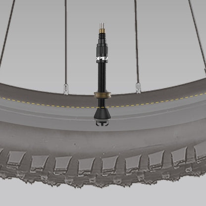 2er-Set Tubeless-Ventile TOPEAK TURBOFLOW Schwarz