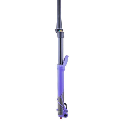 Gabel FORMULA SELVA V 29" Achse 15x110mm Boost Ultraviolet
