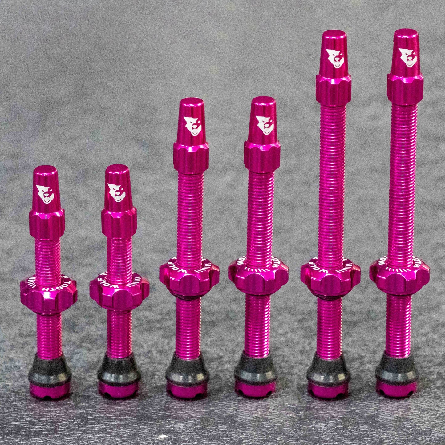 Satz von 2 Tubeless-Ventilen WOLF TOOTH Rosa
