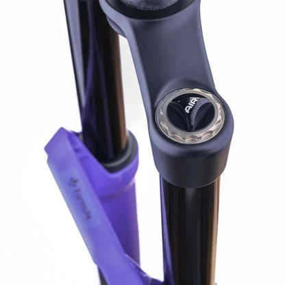 Gabel FORMULA SELVA V 29" Achse 15x110mm Boost Ultraviolet