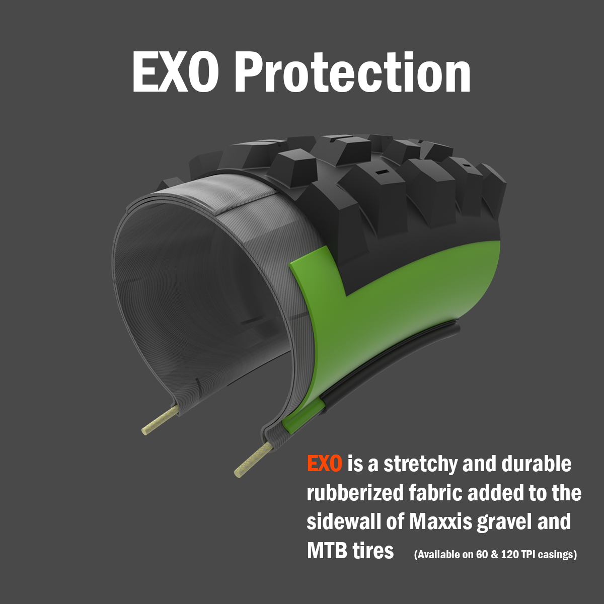 Protection MAXXIS EXO - vue en coupe