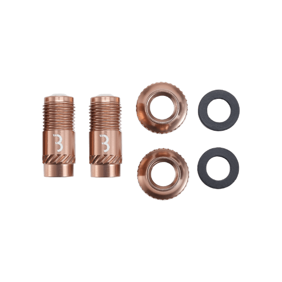 Embouts de Valves BBB CORE CAP Bronze (x2)