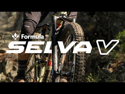 Gabel FORMULA SELVA V 29" Achse 15x110mm Boost Schwarz