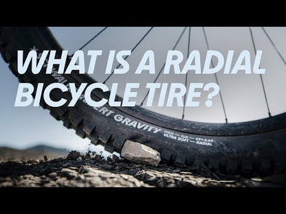 Reifen SCHWALBE MAGIC MARY 27.5x2.50 GRAVITY PRO ADDIX SOFT RADIAL Tubeless Ready Faltbar
